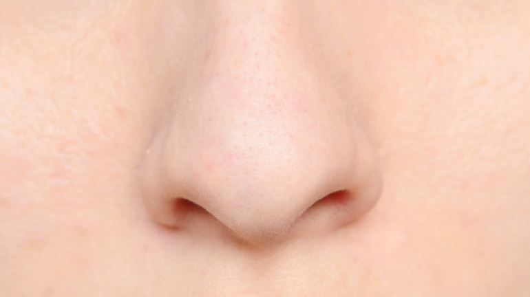 Mengenal Anatomi Hidung Manusia dan Fungsinya