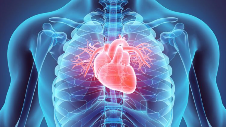 Mengenal Penyakit Jantung dan Cara Mengatasi